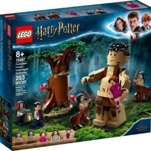 LEGO HARRY POTTER 75967 - La foresta proibita: l'incontro di Umbridge